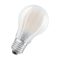 RENDL G13306 OSRAM LED izzó, E27 matt