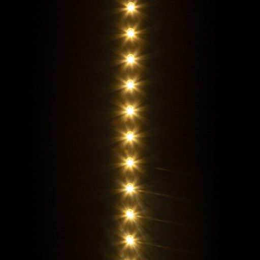 1841_altpic_4.jpg