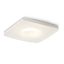 RENDL R10418 KAY LED Outlet, szaténüveg