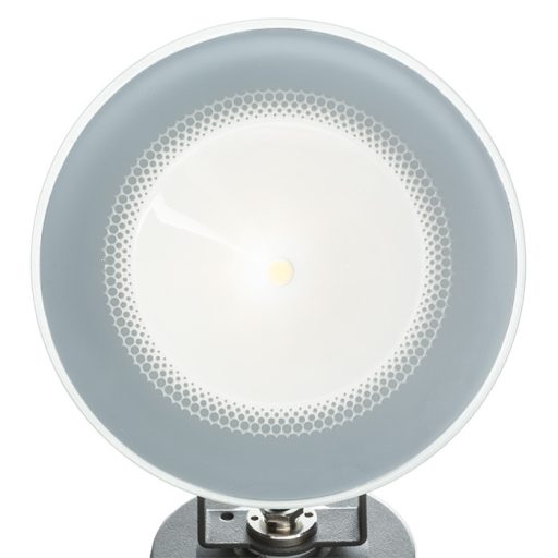 RENDL R11753 FOX LED kültéri lámpa, reflektor IP65 antracit