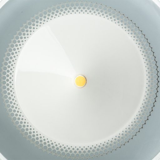 RENDL R11753 FOX LED kültéri lámpa, reflektor IP65 antracit