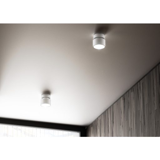 RENDL R11770 PIXIE felületre szerelhető lámpatest, downlight fehér króm