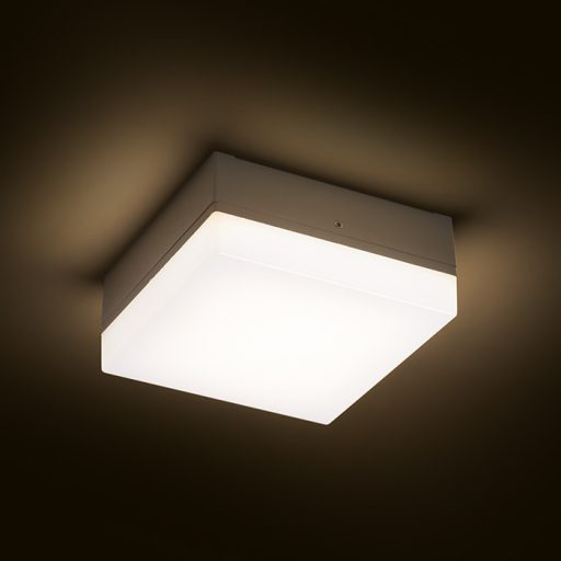 RENDL R11968 SPECTACLE LED kültéri lámpa, mennyezeti IP54 ezüstszürke