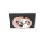 RENDL R13253 SHARM LED mennyezeti lámpa, készlet fekete réz/réz