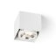 RENDL R13361 JAMES LED felületre szerelhető lámpatest, downlight matt fehér