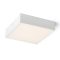 RENDL R13487 LARISA LED felületre szerelhető lámpatest, műszaki fehér