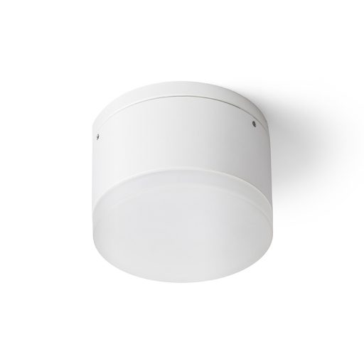 RENDL R13626 ORIN LED kültéri lámpa, mennyezeti IP54 fehér szatinált akril
