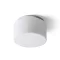 ARANA R 27 stropní opálové sklo/chrom 230V LED E27 15W IP44