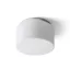 ARANA R 27 stropní opálové sklo/chrom 230V LED E27 15W IP44