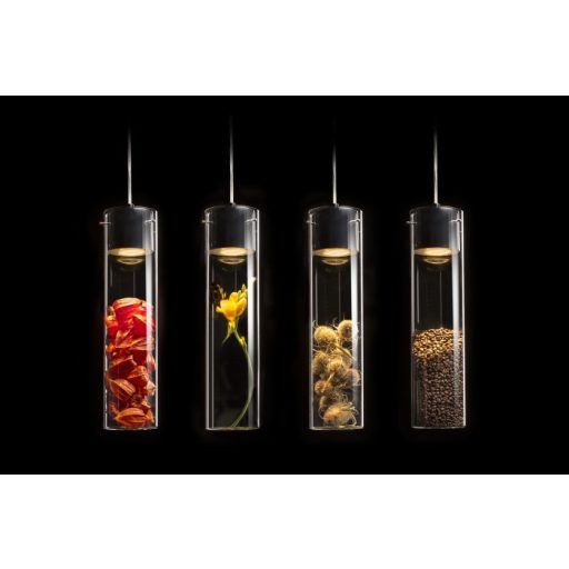 RENDL R13815 GARNISH Háromáramkörös rendszerek, 3Á függőlámpák átlátszó üveg/króm