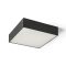 RENDL R13939 LARISA LED felületre szerelhető lámpatest, műszaki fekete