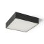 RENDL R13939 LARISA LED felületre szerelhető lámpatest, műszaki fekete