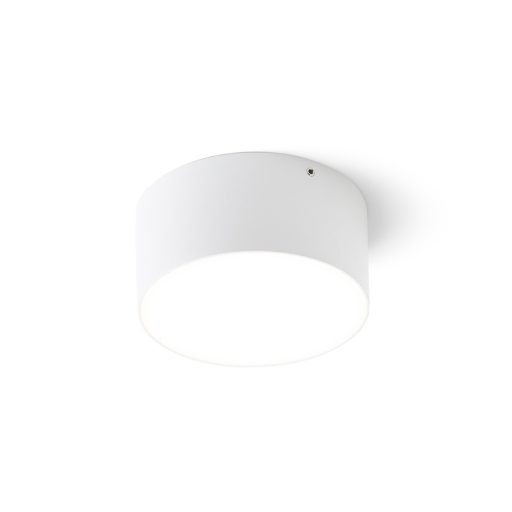 RENDL R14123 LARISA LED kültéri lámpa, mennyezeti IP65 fehér