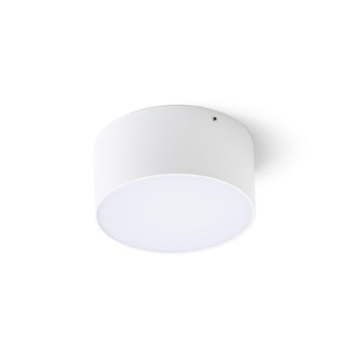 RENDL R14123 LARISA LED kültéri lámpa, mennyezeti IP65 fehér