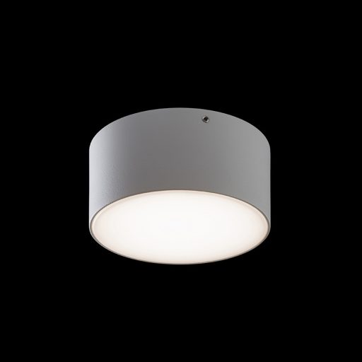 RENDL R14123 LARISA LED kültéri lámpa, mennyezeti IP65 fehér