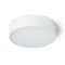 RENDL R14125 LARISA LED kültéri lámpa, mennyezeti IP65 fehér