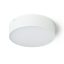 RENDL R14125 LARISA LED kültéri lámpa, mennyezeti IP65 fehér