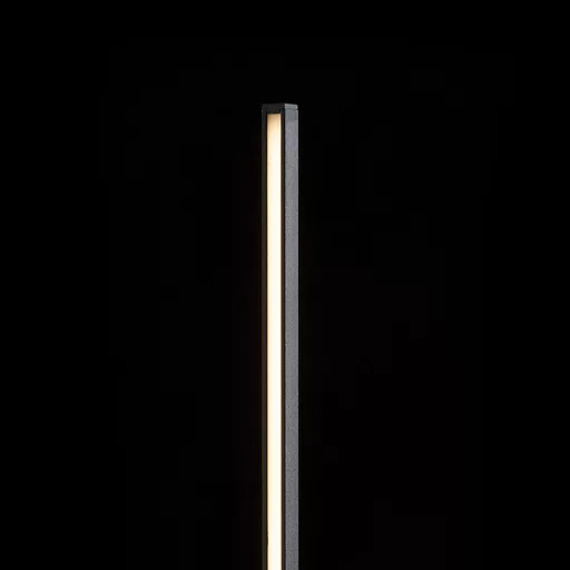 ANEMONA 120 állólámpa fekete 230V LED 15W 3000K
