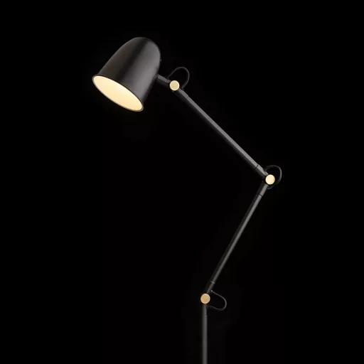 DANNY állólámpa fekete sárgaréz 230V LED E14 5W