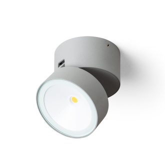   RENDL R14200 FLAVIO LED kültéri lámpa, fali irányított fényű IP54 világosszürke