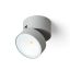 RENDL R14200 FLAVIO LED kültéri lámpa, fali irányított fényű IP54 világosszürke