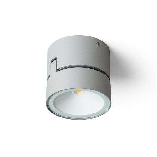 RENDL R14200 FLAVIO LED kültéri lámpa, fali irányított fényű IP54 világosszürke