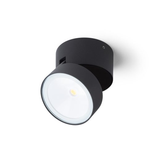 RENDL R14201 FLAVIO LED kültéri lámpa, fali irányított fényű IP54 fekete