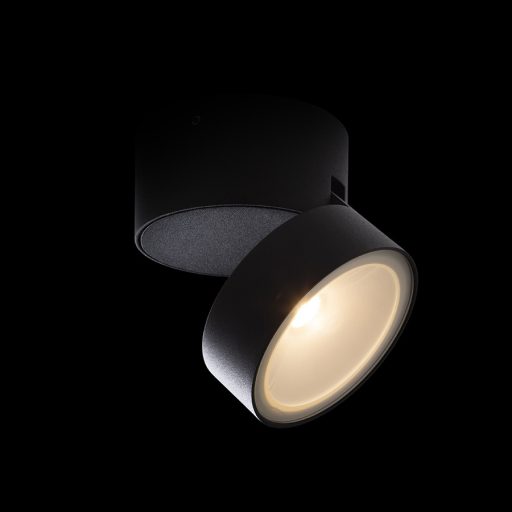 RENDL R14201 FLAVIO LED kültéri lámpa, fali irányított fényű IP54 fekete