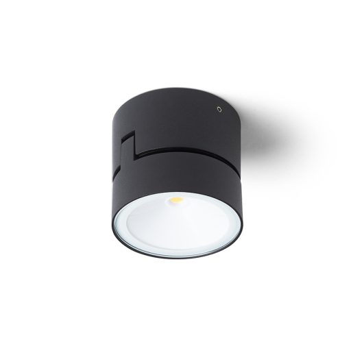 RENDL R14201 FLAVIO LED kültéri lámpa, fali irányított fényű IP54 fekete