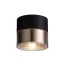JUNIPER stropní černá/zlatá 230V LED 15W 30° 3000K