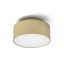 RENDL R14340 MARLENE LED felületre szerelhető lámpatest, downlight gyöngyházarany