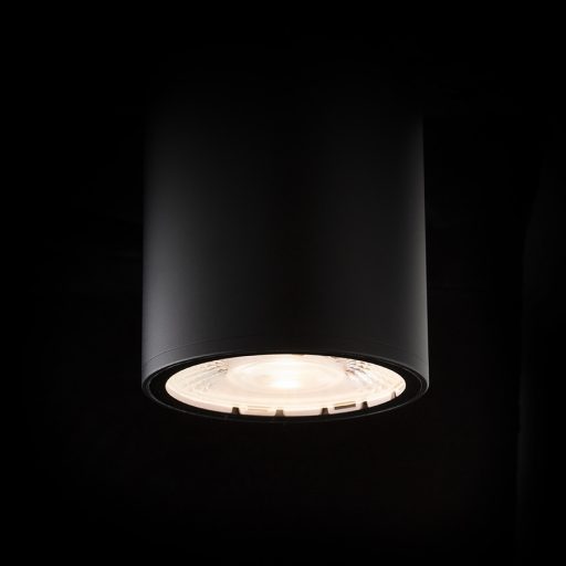 RENDL R14381 KORNELIA LED kültéri lámpa, mennyezeti IP65 fekete