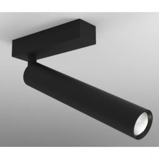 DARRIN I přisazená bílá 230V LED 6W 24° 3000K