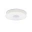 RENDL R14549 ASTERI LED felületre szerelhető lámpatest, dekoratív szaténüveg/króm